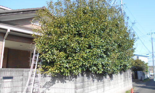 DSCN1327[1]