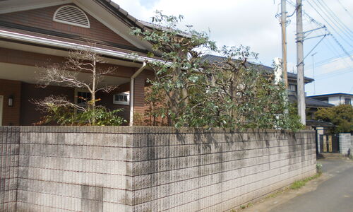 DSCN1330[1]