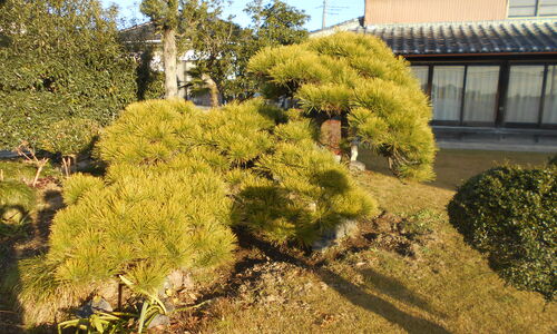 DSCN1832[1]