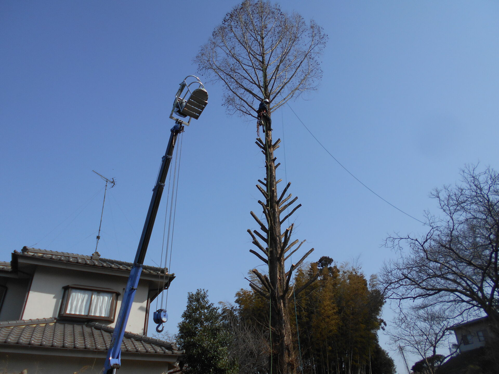 DSCN1938[1]