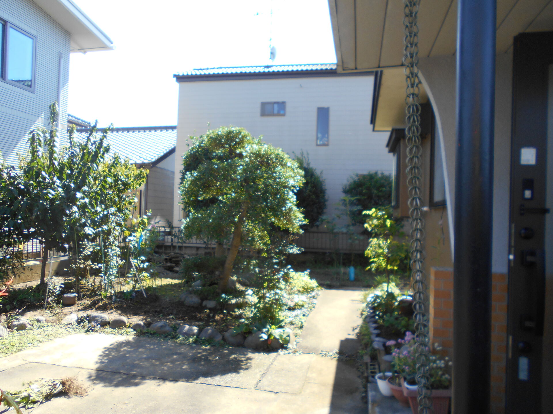 鴻巣市　S邸　伐根工　before