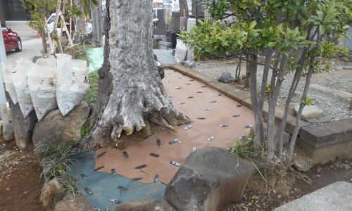 DSCN1304[1]