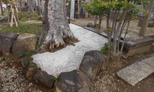 DSCN1305[1]