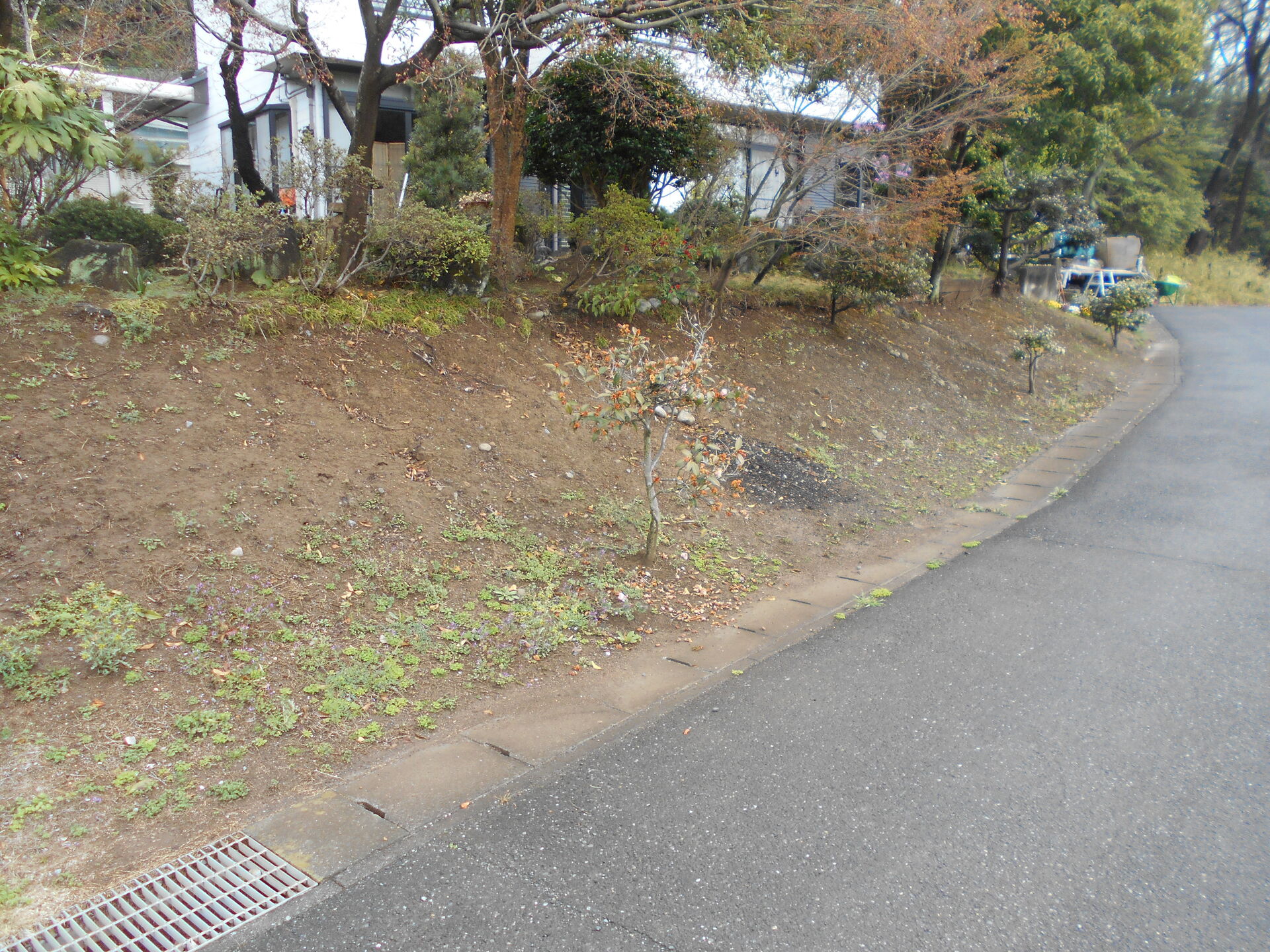 DSCN1347[1]